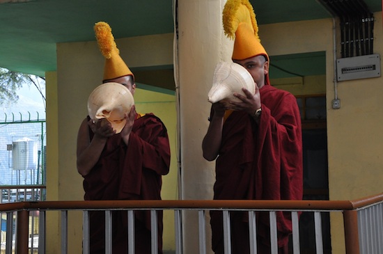 Monks of Namgyal monastery blowing conch shells, 22 February 2016.
