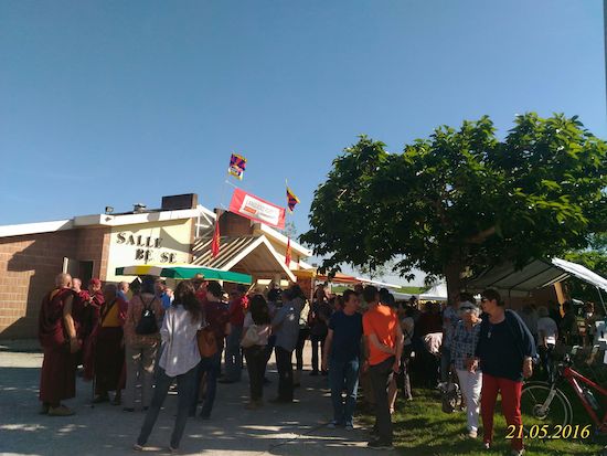 Participants of the