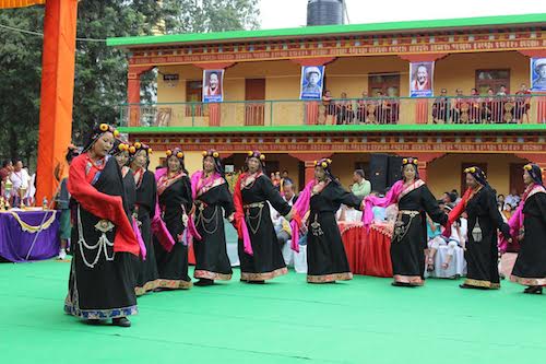 Cultural performances at the celebration.