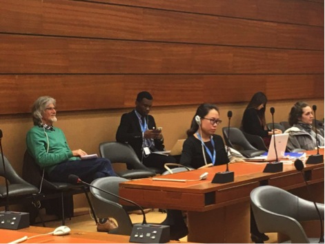 Chinese Delegation (lady with specs) during Tibet Briefing at UN, 10.3.2017