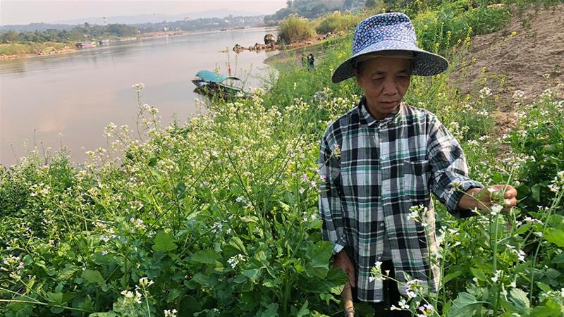 People along the Mekong are struggling with sharply fluctuation water levels as China tests dam equipment. This Thai woman said her garden on the river bank was damaged by flash floods as water was released from the upstream dam [International Rivers via Al Jazeera]